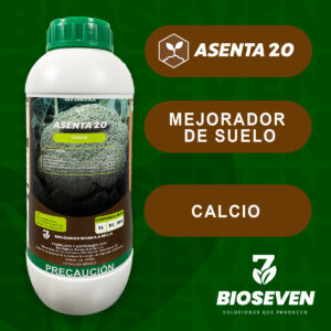 ASENTA 20 - CALCIO