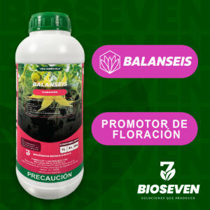 BALANSEIS - FLORACIÓN