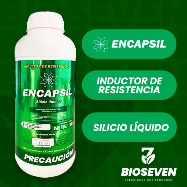ENCAPSIL - INDUCTOR DE RESISTENCIA