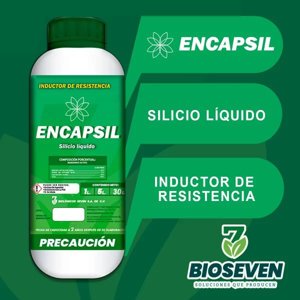 Producto Encapsil