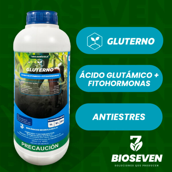 GLUTERNO - ÁCIDO GLUTÁMICO + FITOHORMONAS