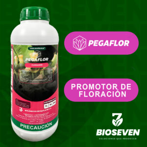 PEGAFLOR FLORACIÓN