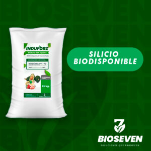 SILICIO BIODISPONIBLE 25 Kg