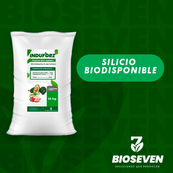 SILICIO BIODISPONIBLE 25 Kg