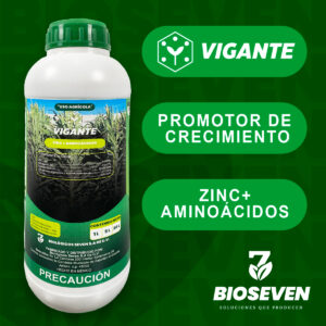 VIGANTE - ZINC + AMINOÁCIDOS