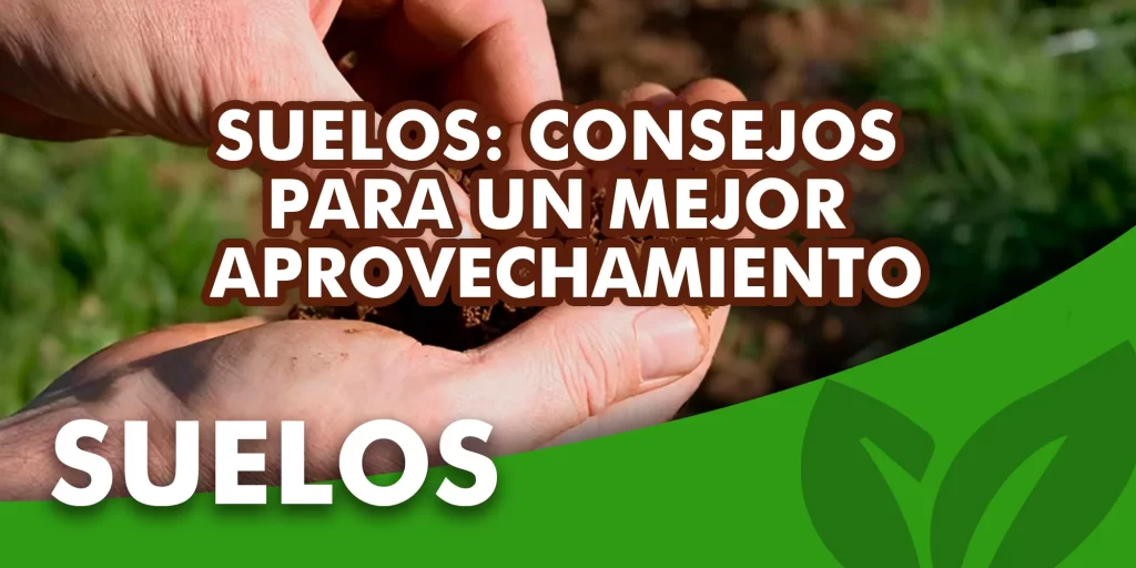 Consejos para mejor aprovechamiento de suelo