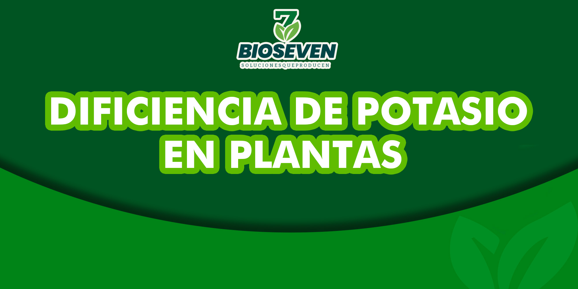 Como Reconocer La Deficiencia De Potasio En Las Plantas Bioseven 3201