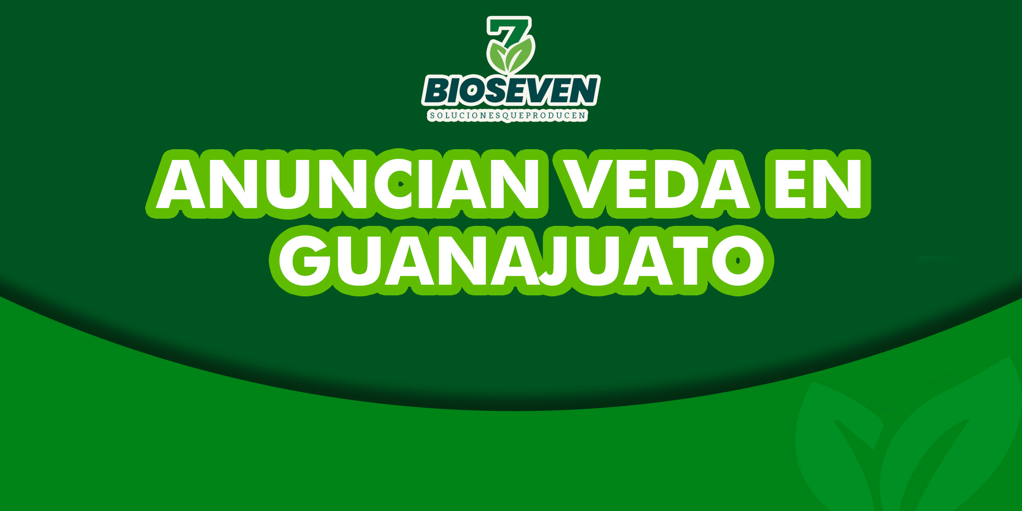 Anuncian veda en Guanajuato