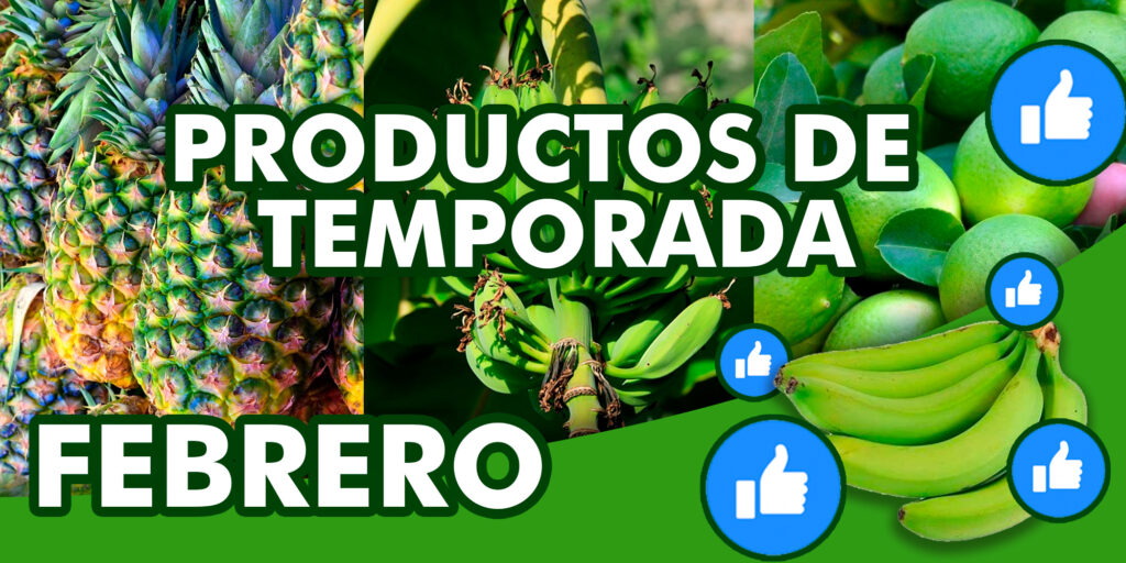 Productos de temporada Febrero